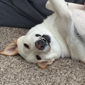 Meet your Posher, Ana